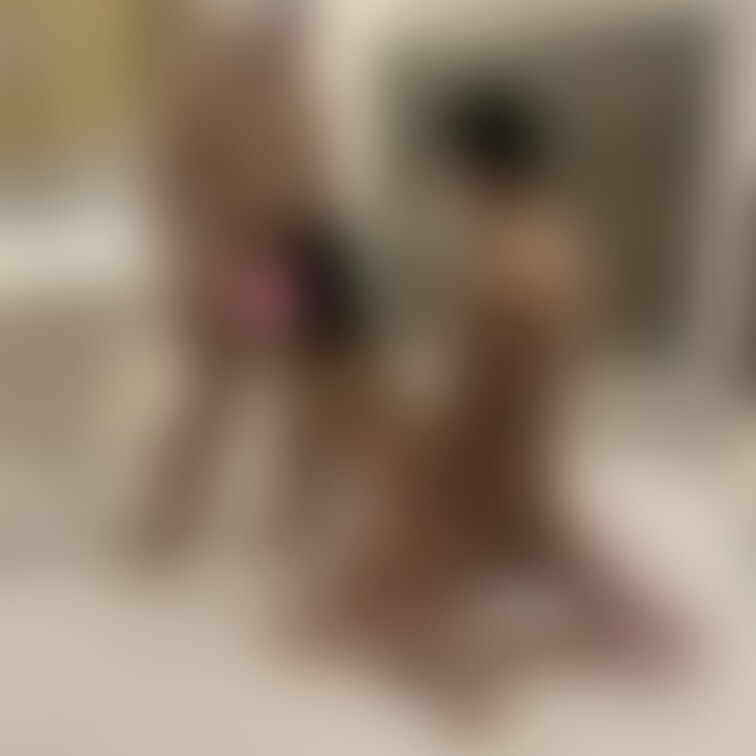 <本日の1枚>
次の動画シリーズはこの時の動画かな？