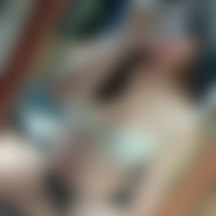 新しいブラです