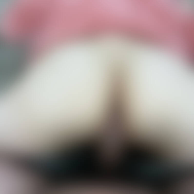 生挿入🤍