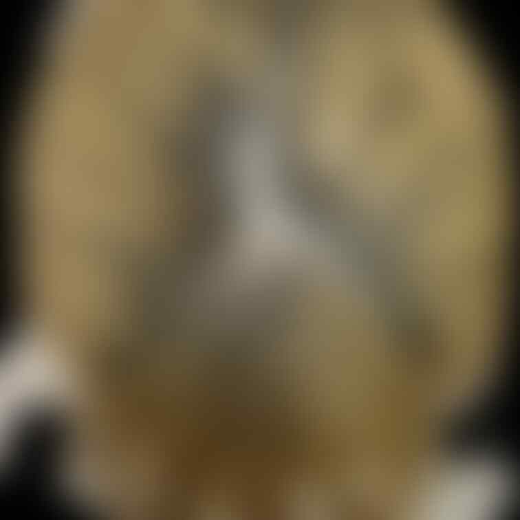 ギャル大生
しっかり接写してます💕ありがとうございました😊