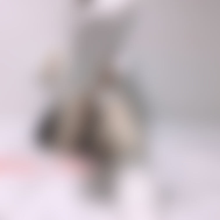 ルーズの裏側