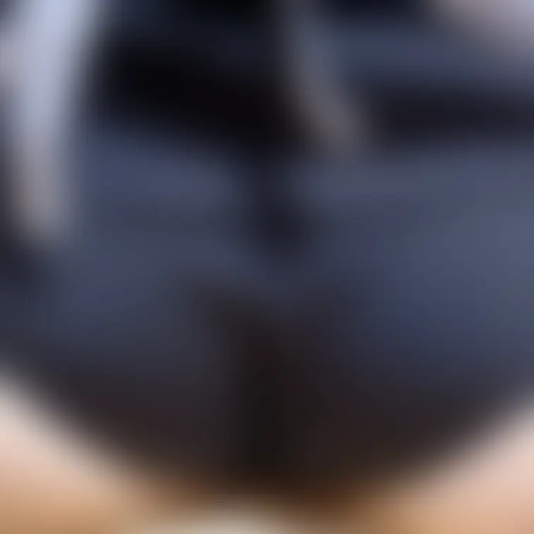こんな所にトンネルがあるよ👀🌷