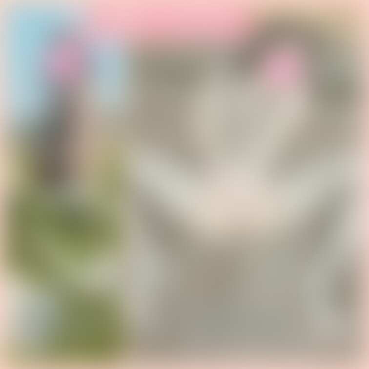 るーちゃん︎︎︎☺︎のビフォーアフター☺️パート2
こんな清楚な子なのに夜はすごいですよ🥹
接客業しながら、夜は