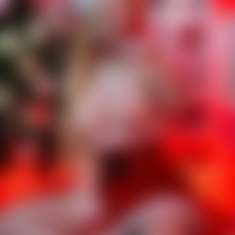 ブロンドのサンタさん🎅🏻🎄それと『☆Merry Christmas☆』