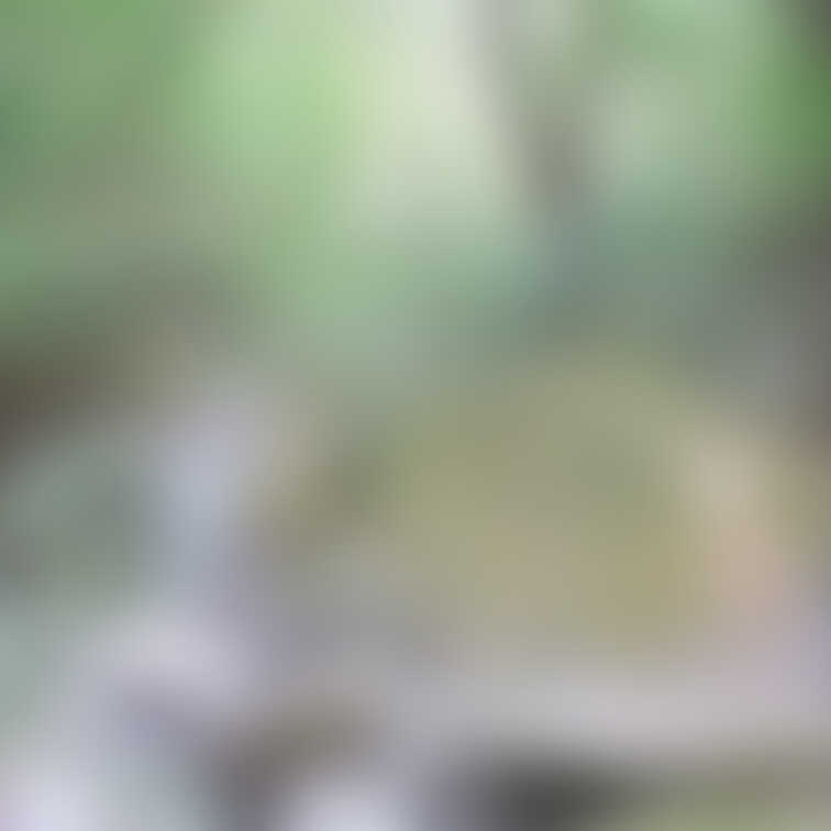 myfansに移行した時に移行出来てなかった何年か前の画像なんだけど今の方がスタイル良い気がする🙄
ここ人が管理してな
