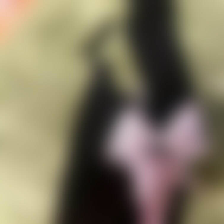 何を撮る予定かはまだ秘密です(´∩ω∩｀)💓