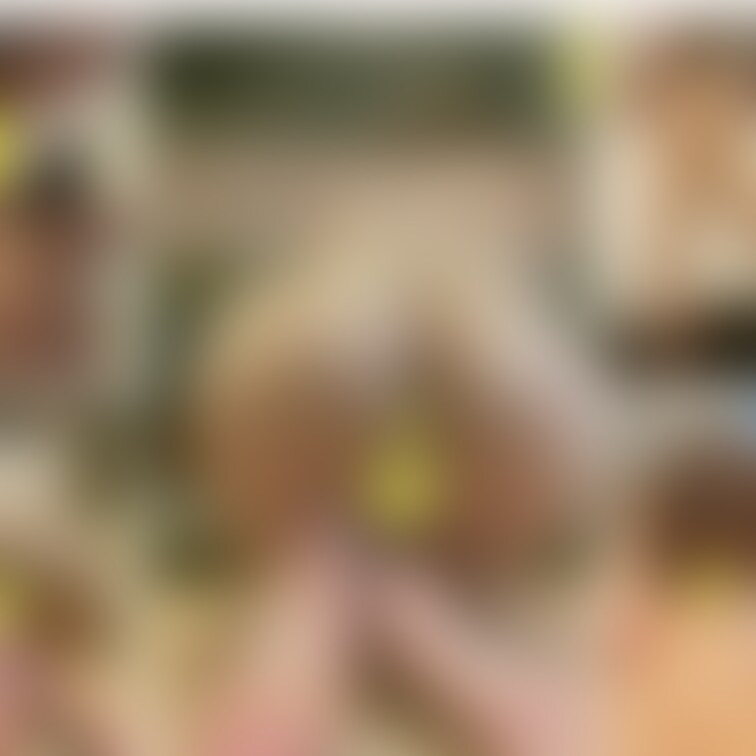 皆さまこんにちは。
いつもありがとうございます。

今回は「【辞められないフェラチオ】まったりフェラ専門お○○○さ