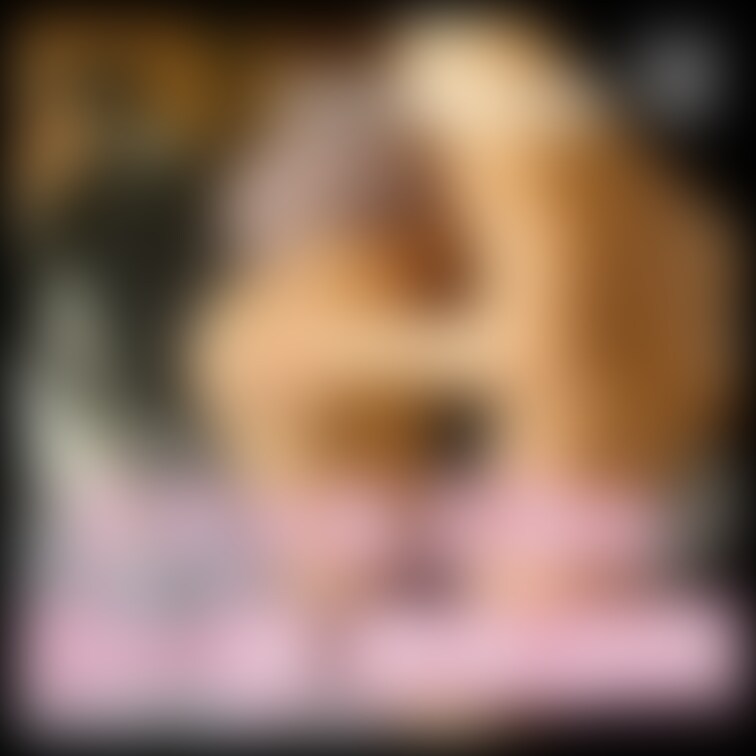 右上の「♡いいね」押してからみてくれると嬉しいです💗


••┈┈┈┈┈┈┈┈┈••

12【サンプル画像】リ
