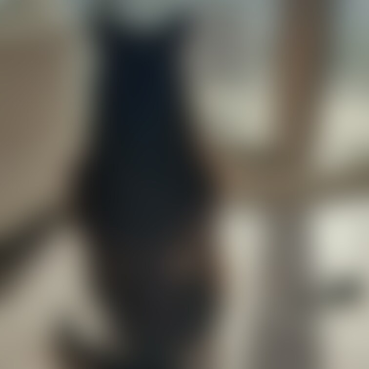 こんにちはー😊
コスプレ動画を撮る少し前のこと。
日差しが気持ち良すぎて日向ぼっこしてました☀️
そして隣には撮影前