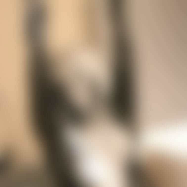【美少女ペイントメッシー】
 可愛い女の子がペイント塗れになってくれました！何度も頭からペイントを被ってくれる姿は圧巻