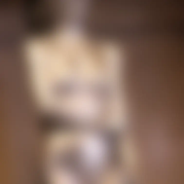 【あの超かわいいアイドル級美女のセクシー銀粉メッシー】
 これまで数回色々なメッシーに挑戦してきてくれたアイドル級の美