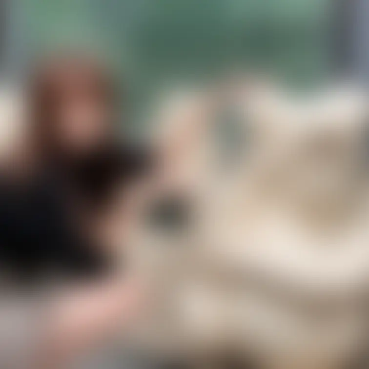 「＋フォロー、いいね💗、保存🔖」で次も見逃さないように🤍
SNSに上げている写真や動画を載せる“今週のワンカット”のコ