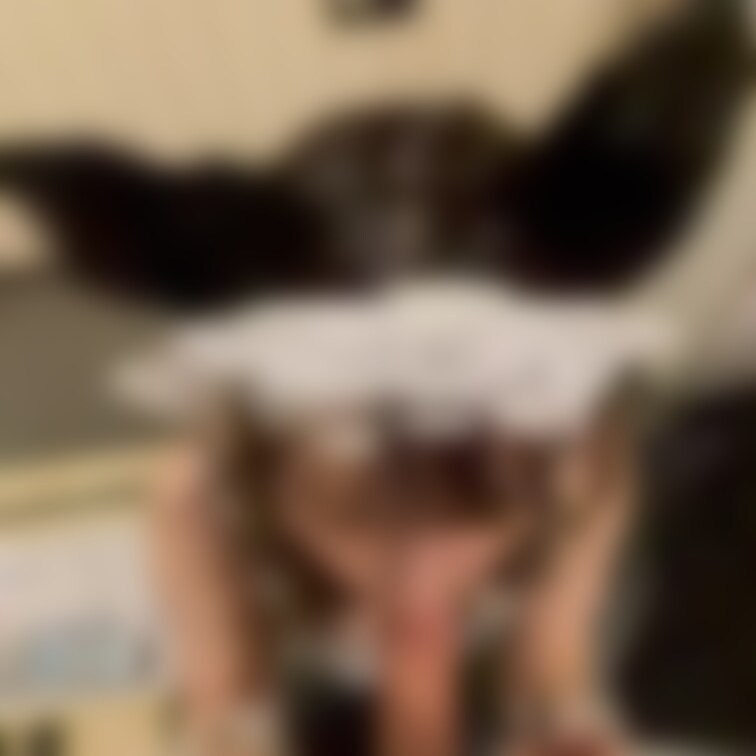 エロ猫ちゃんメイドのご奉仕フェラ🥰