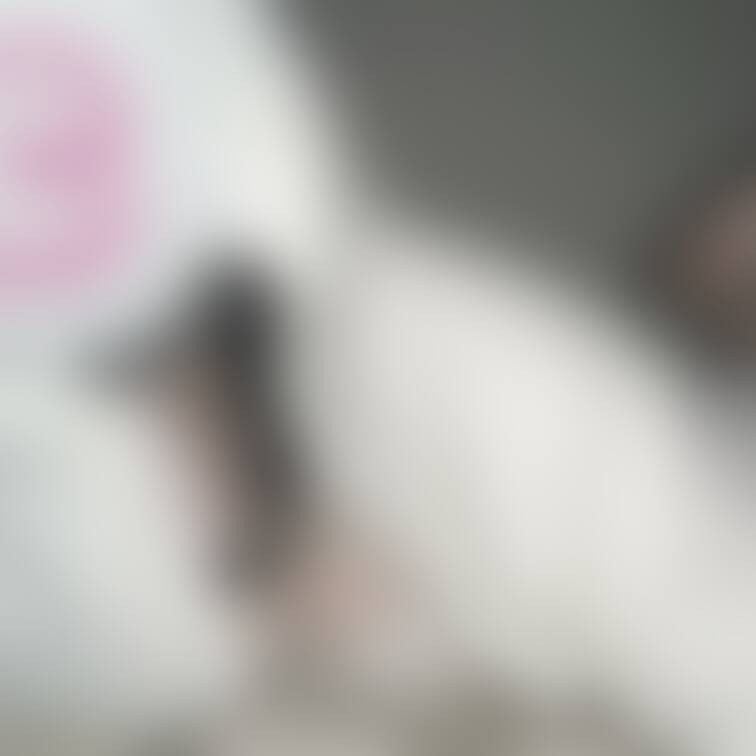 🐰🐰
