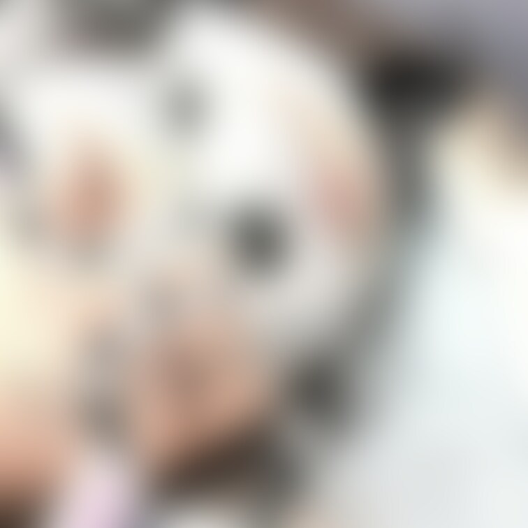 睡眠いたずら乳首🤤
貧乳な分敏感な可愛い乳首、おいしくいただきました✨