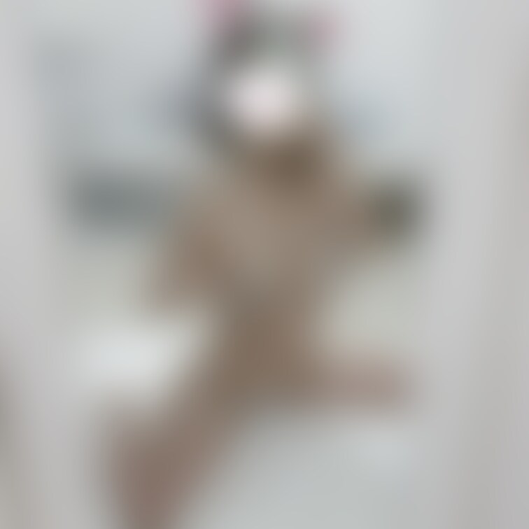 牛さん ミルク搾ってくれる？