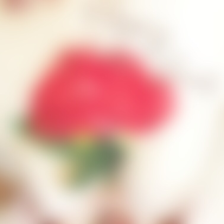 遅くなりましたが
今年も宜しくお願いします
