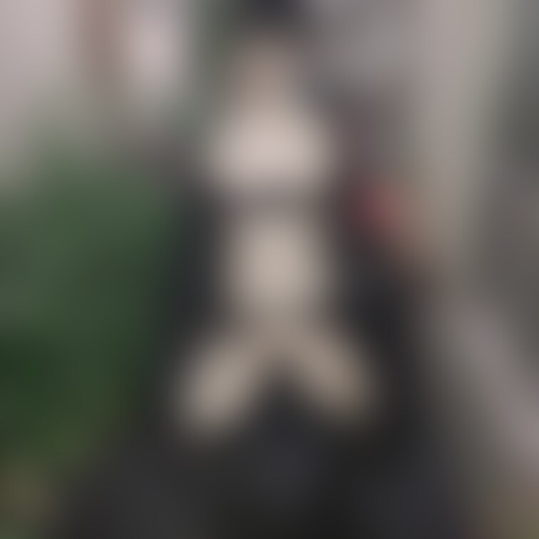 お外でガニ股ピース🥰✌🏻
ちっぱいもクリちゃんもビンビンになったよ💗
《いいね♡》が活動の励みになります🐈⬛