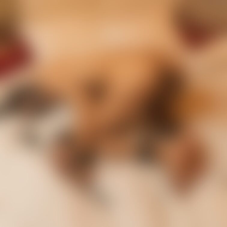 model ケモナーのサメ好き　X ＠sharking3839

犬の尻尾つけて🐕
お尻に映える最高すぎる🥰
