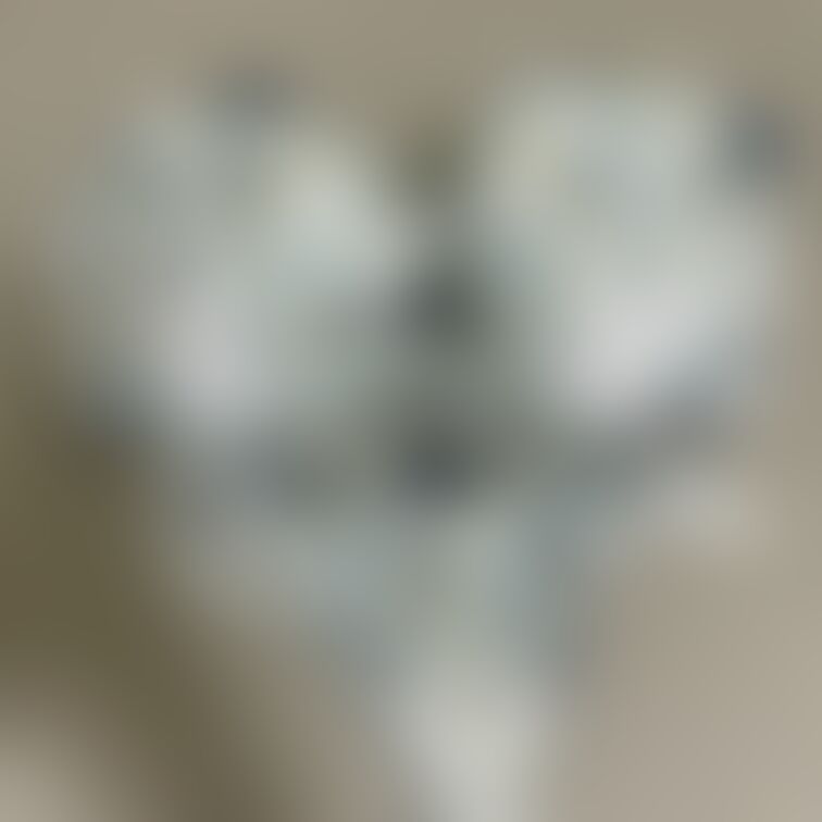 過去画になります