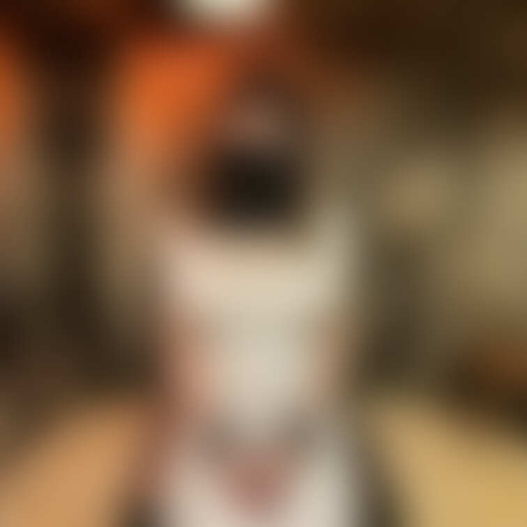 ちょっと重めな画像上げてみます