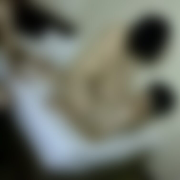 2018年通称してしておばさんw
命令ばかりであれしろこれしろのオンパレード。フェラもせず・・・w
しかし！1年後w