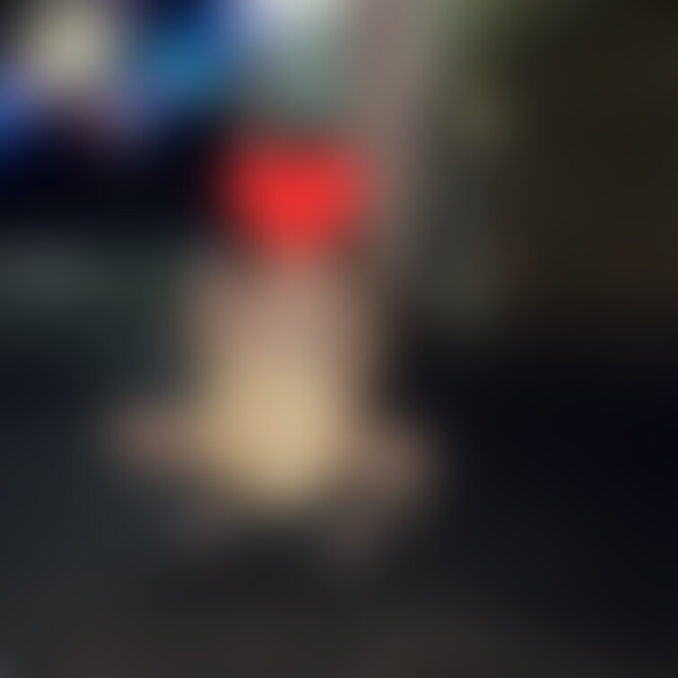 【✨貸出案件✨】
有料プラン様から抽選でフォロワー様まで
幅開く【貸し出され】ようかな、と、
思います
