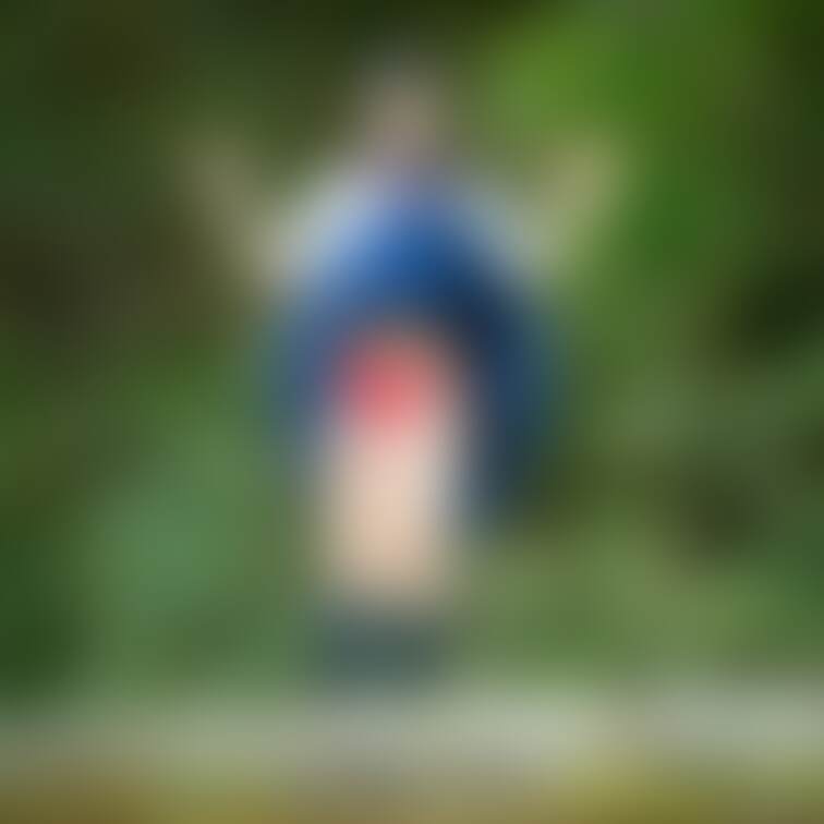 赤いパンツは元気が出るそうです。(巣鴨しらべ)

茜ナツキさん

Canon EOS 5D mark3