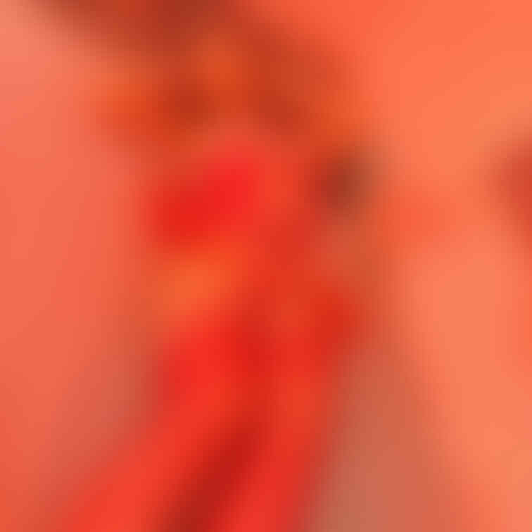 こんなサンタさんエロくないですか？