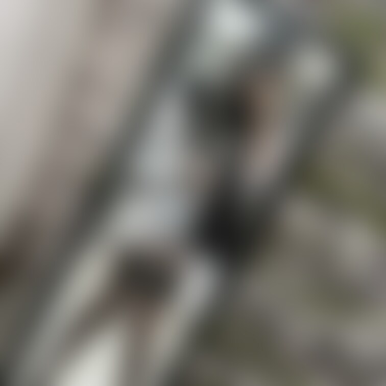 ꫛᥱꪝ メイド服×絶対領域ᙏ̤̫