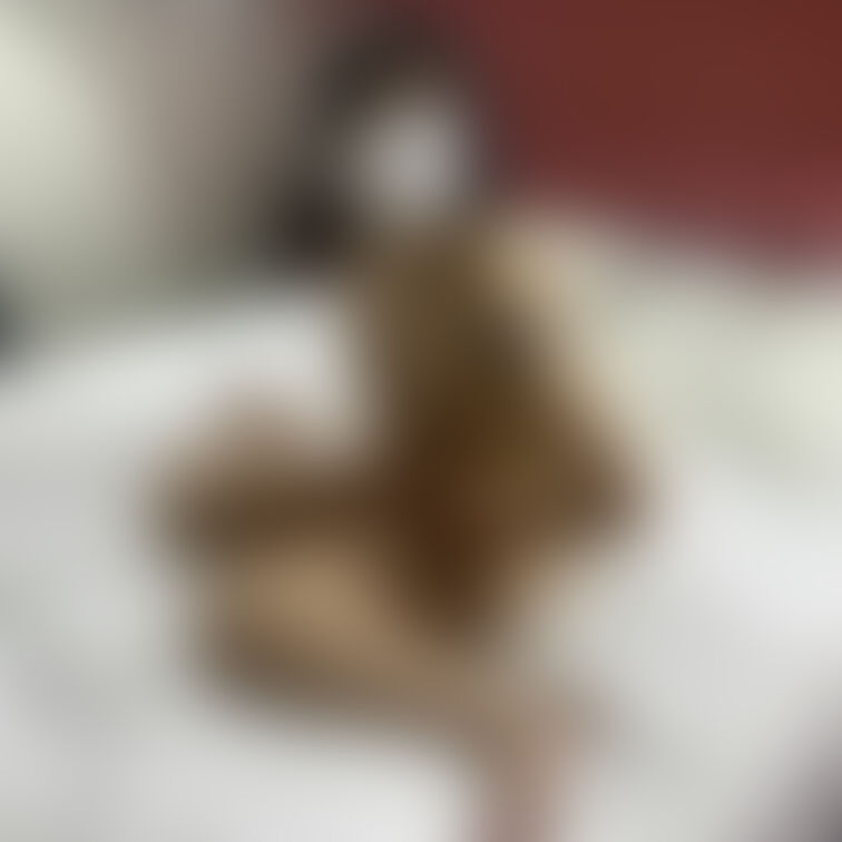 極道の妻、妊婦かえでちゃん