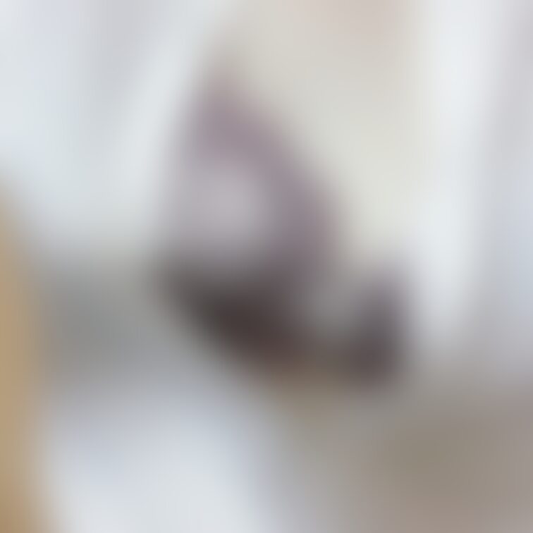 きょうのブラ🧸💭