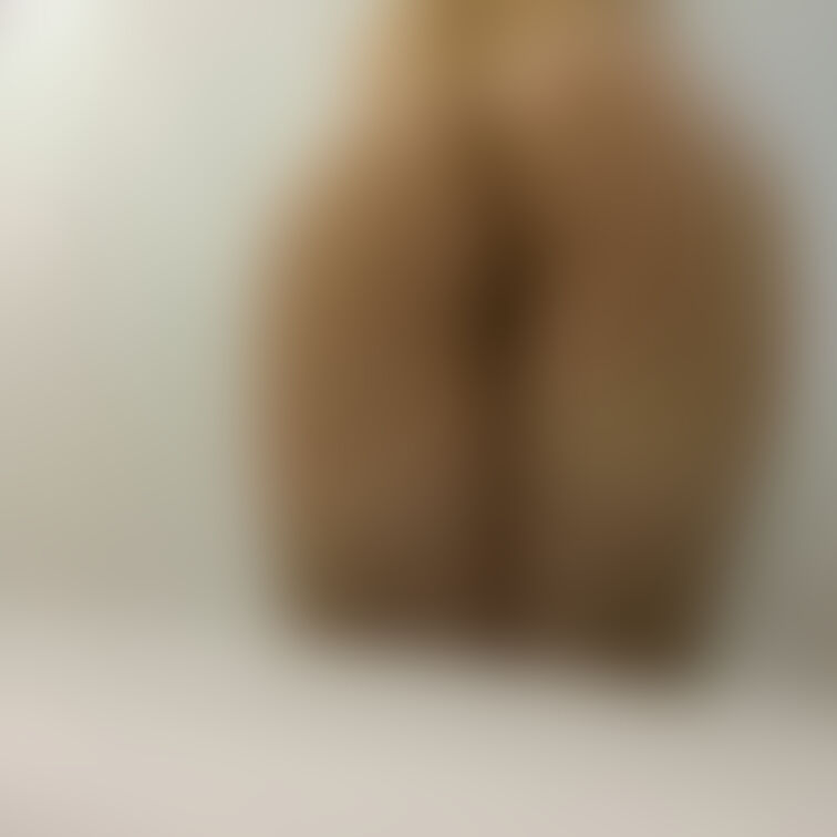 桃尻、ここからねじ込むんだよね？