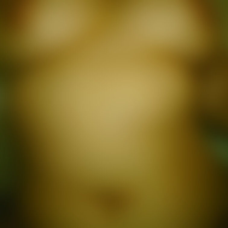 いいおなかの日といいおっぱいの日だったもんね