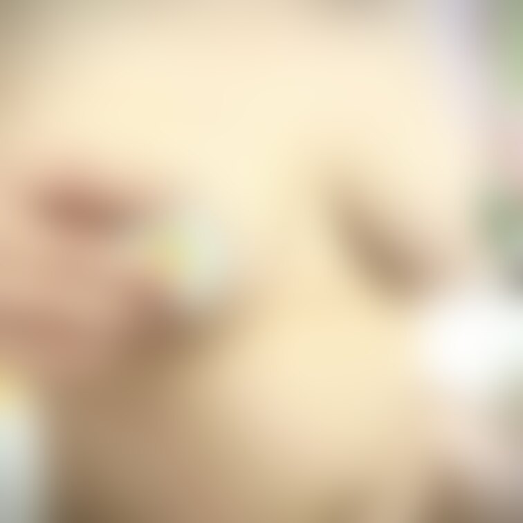お久しぶりです
久しぶりにあげられました