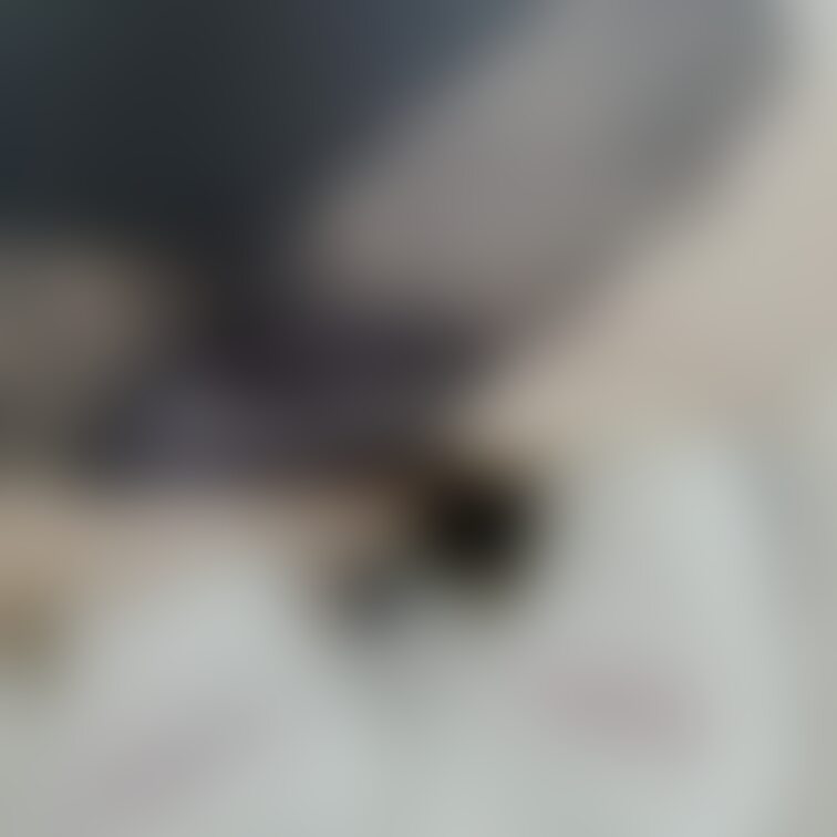 Xでポストしたねこちゃんソックスのお写真の差分💁‍♀️🧦