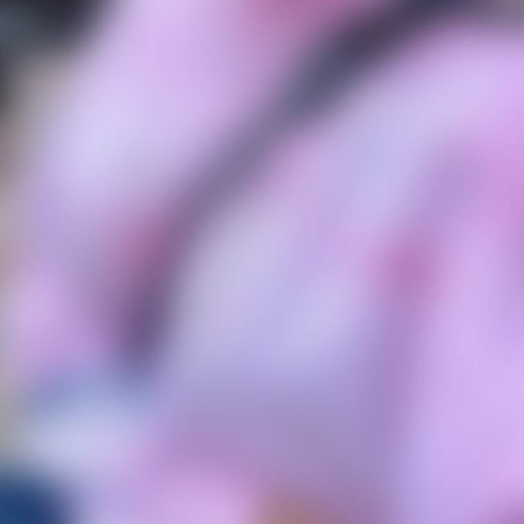 のーぶらパイスラ🍒