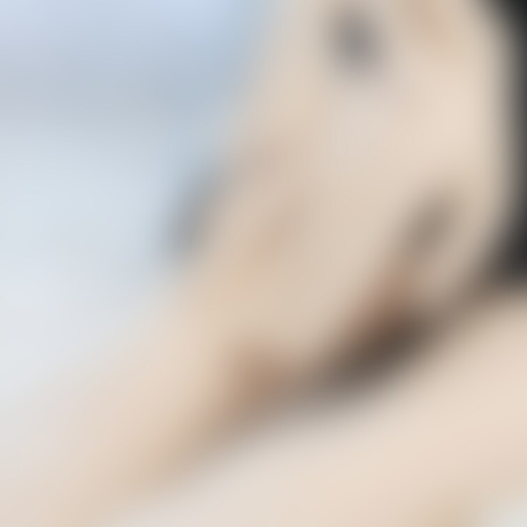 肌タイツフェチズム