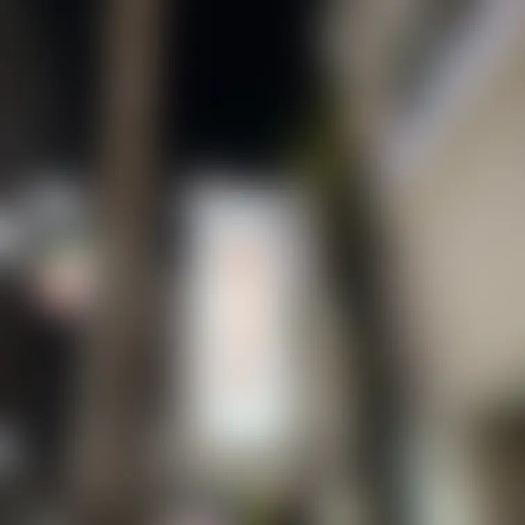 7月13日　位置情報　🐈