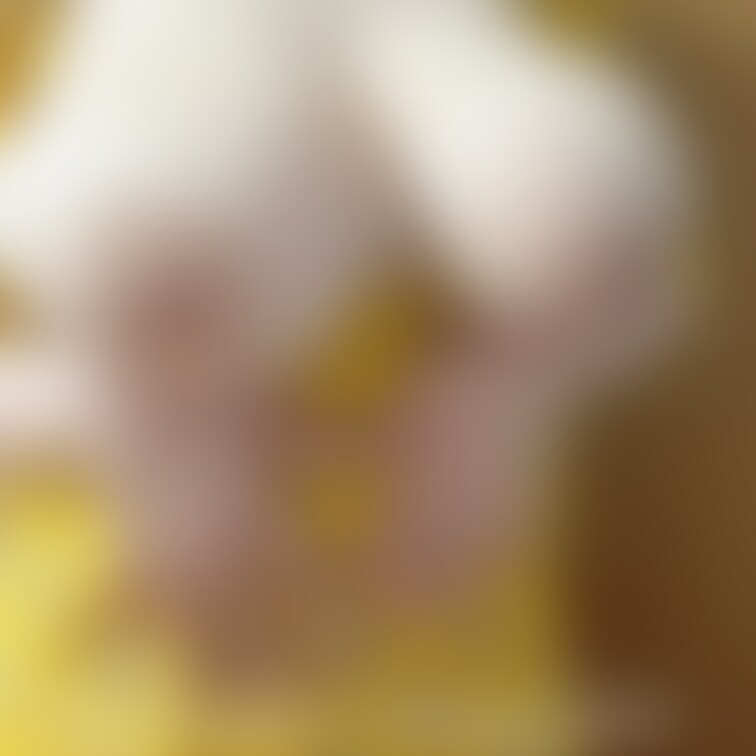 雨の日はちゃまパイみて元気出して🌻