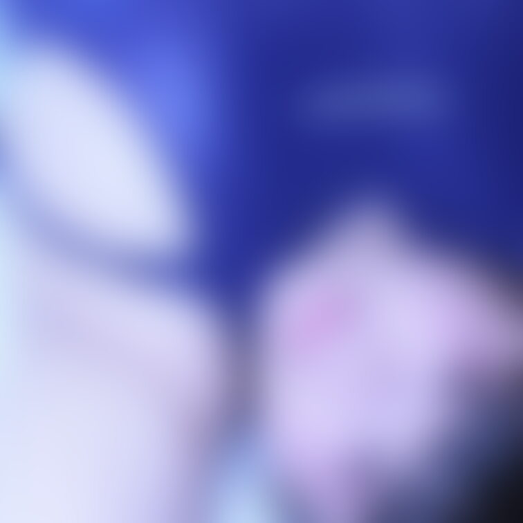 【告知】明後日29日にくけっとだよい!
こんにちは!糸です!
昨日XのDMで、中国の方からDMをいただきました。