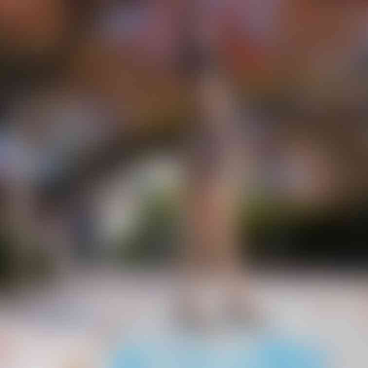 過去の削除写真の再投稿です。（2023年1 月投稿）
お城シリーズ第2弾‼️⑥