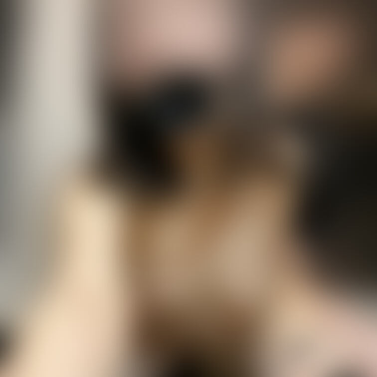Xの続きです🧡口枷をつけられてヨダレだらだらしながらバックでずぽずぽハメられちゃいました😖🧡垂らしたヨダレはもちろんペロ