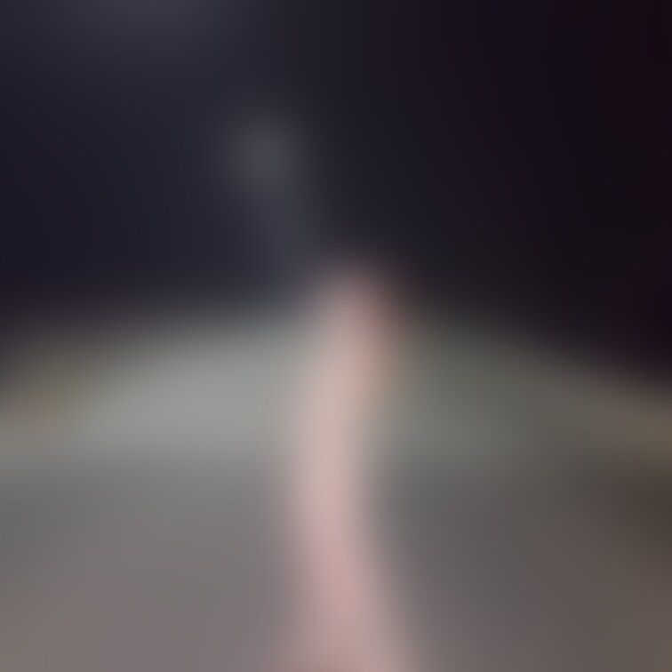 露散歩😉