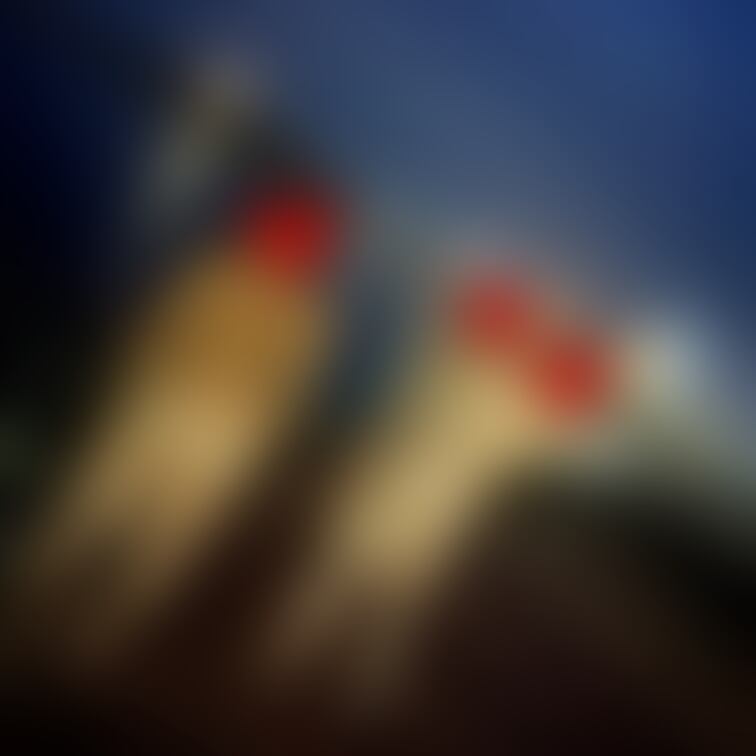 夜のお散歩～✨