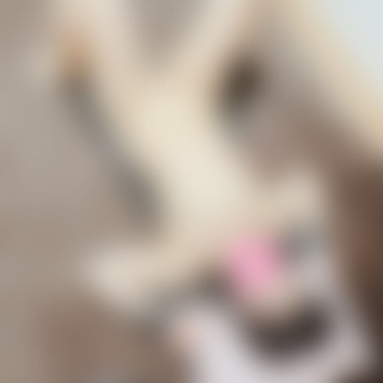 コスプレ撮影会4枚目✨
○○○束具をつけての撮影
過去、元カレにラブホで器具に縛り付けられたとか言ってたような😂