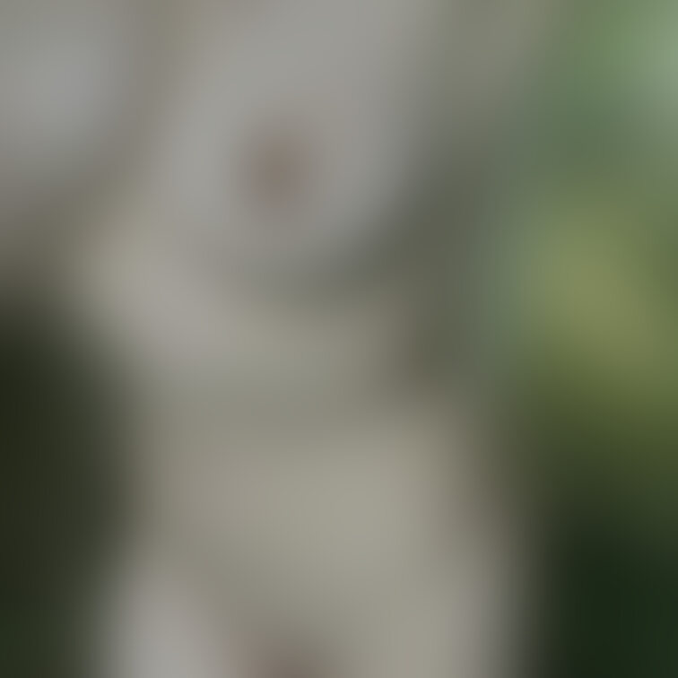 舐め回すように見てください。。👀