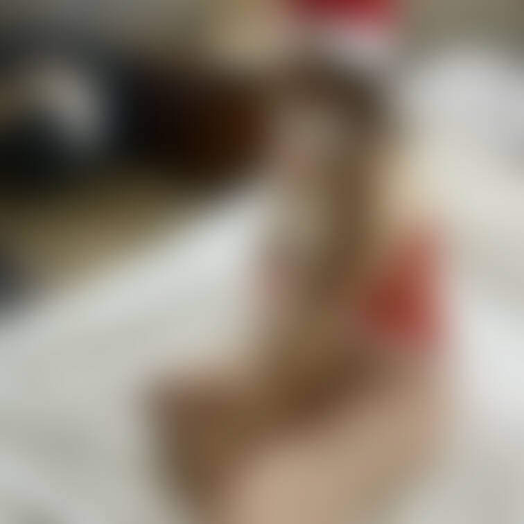 クリスマスプレゼント🎄
サンタ妊婦おとちゃん画像集　その5🎁