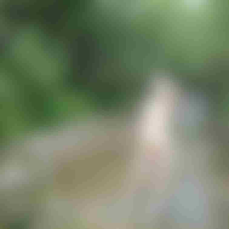 H県の山奥で撮った幻想的ヌードです。帽子で股間を隠してます。