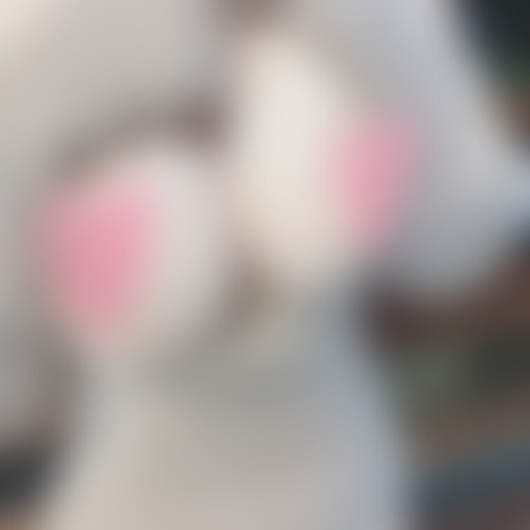 お胸丸出し秘密のグラビア撮影…よかったらコメントくれると嬉しいです😽✨